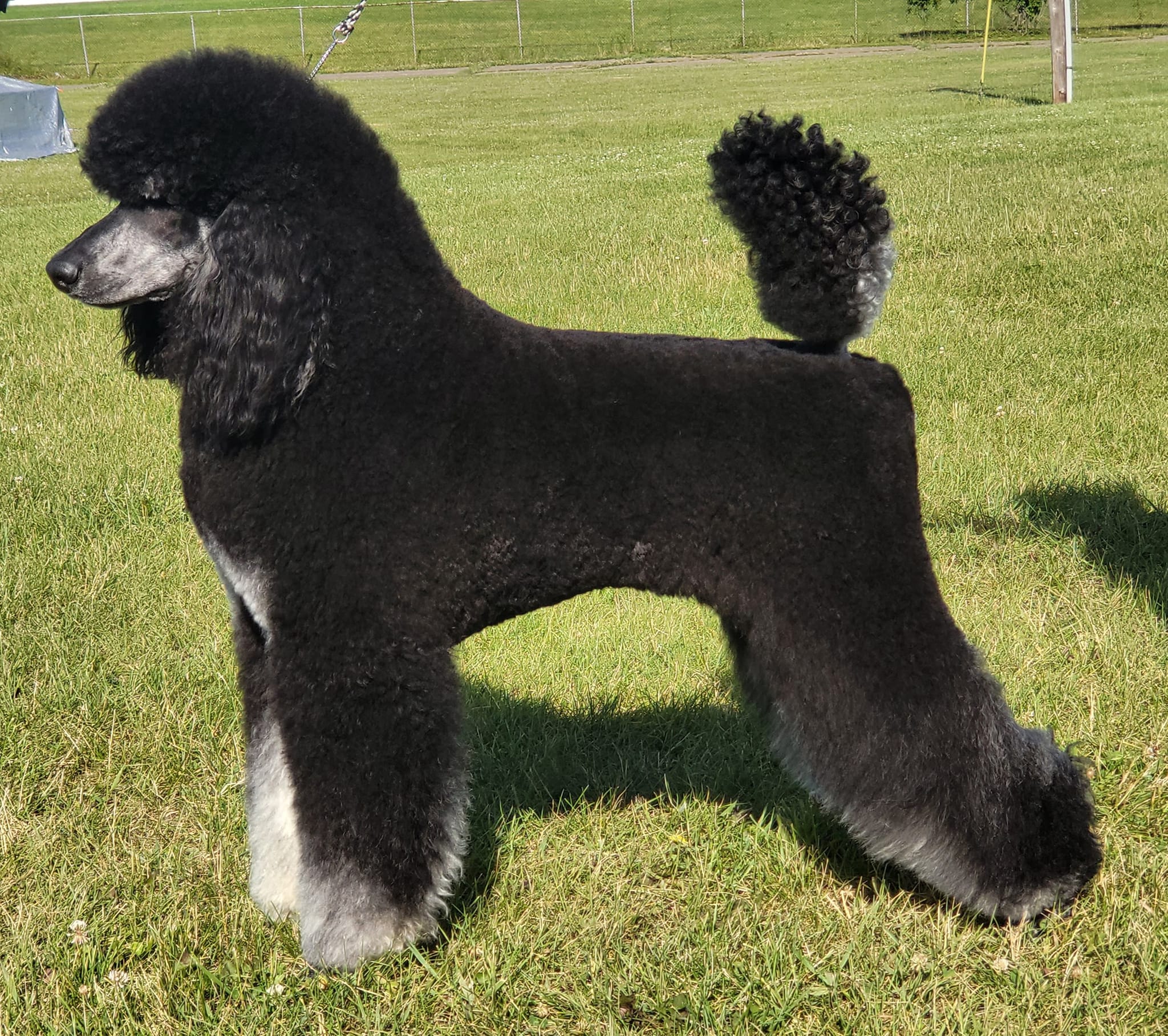 286424863_10159061712833215_1657583235267621936_n